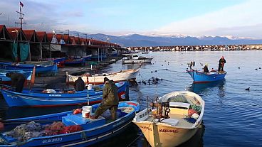 'Trabzon hamsisi farklı bir ırk, tescil bekliyoruz'