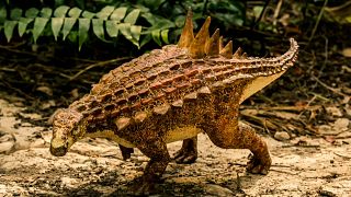 اكتشاف نوع جديد من الديناصورات في المكسيك