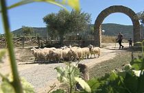 Il 2018 è l'anno del cibo italiano: dalla Sardegna i sapori bio