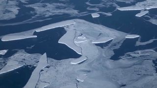 Таяние льдов в Антарктике ускорилось