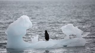 Rohamtempóban olvad az Antarktisz