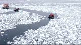 Antarctica is now melting three times faster than ever before