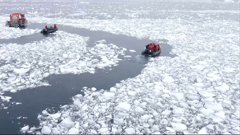 Antarctica is now melting three times faster than ever before | Euronews