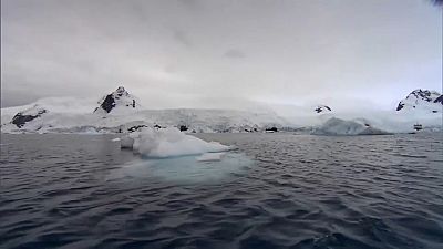 Antarktika'da buzullar son on yılda üç misli hızla eridi