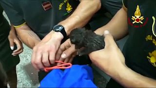 Yavru kediyi itfaiye ekipleri kurtardı