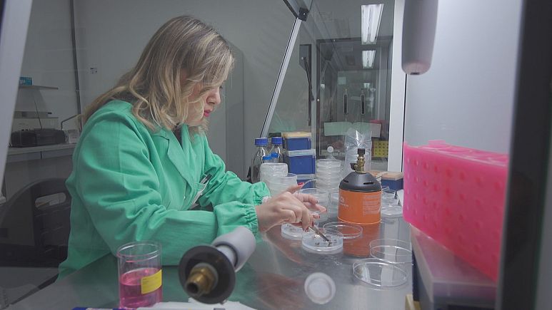 Poche donne capo d'impresa, ma la tecnologia premia la loro tenacia... Poche donne capo d'impresa, ma la tecnologia premia la loro tenacia...