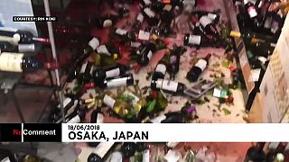 Terremoto en Japón: tuberías reventadas y vino por los suelos