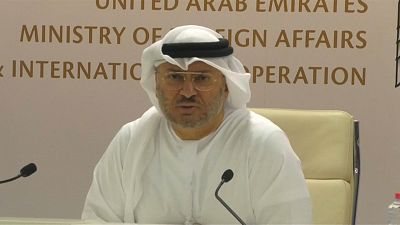 وزير الدولة الإماراتي  للشؤون الخارجية