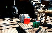 النمر خان ينضم إلى قائمة الحيوانات التي تتنبأ بالفائز بمباراة الفراعنة والدب الروسي