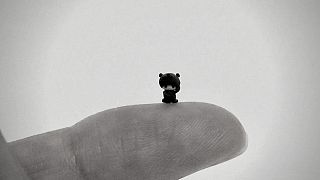 Steady hands  required: Japanese artist creates the tiniest sculptures