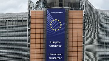 AB'den Türkiye'ye aktarılacak 3 milyar Euroluk göçmen yardımı nerede kullanılacak?