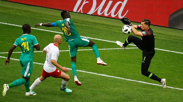 Senegal-Polonya Dünya Kupası karşılaşması Senegal-Polonya Dünya Kupası karşılaşması