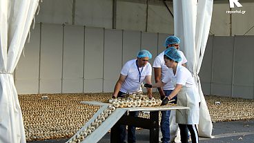 Ρεκόρ Γκίνες για την Δήμητρα Αθανάσοβα Τζορίδου και την πλεξούδα σκόρδων της!