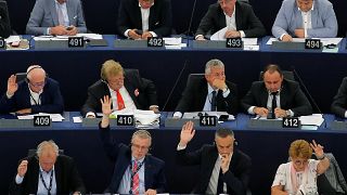 Vote des députés européens