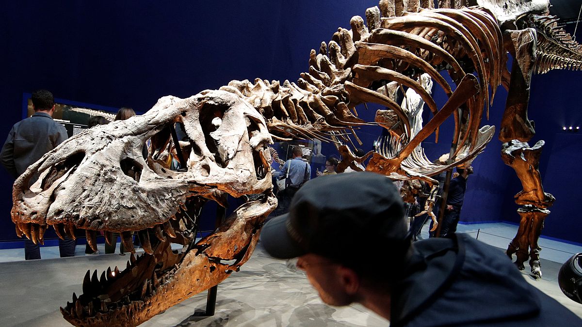 Οι δεινόσαυροι δεν μπορούσαν να βγάλουν τη γλώσσα τους