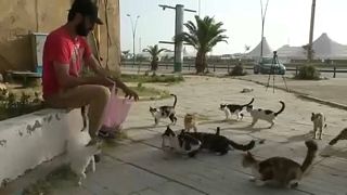 محمد سعيد يطعم القطط في الشارع