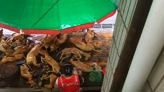 شاهد: مهرجان سنوي في الصين لأكل لحوم الكلاب وضغوط لإلغائه
