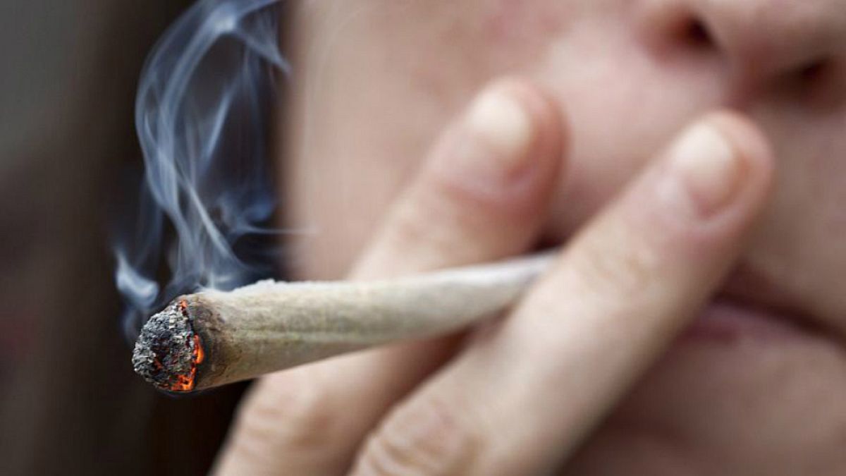 كندا تُشرّع استخدام الماريجوانا لأغراض ترفيهية