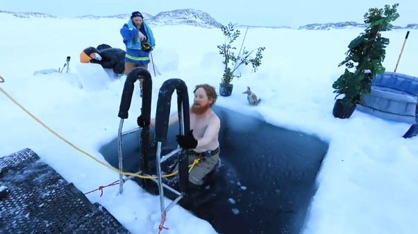 Купание в водах Антарктики Купание в водах Антарктики