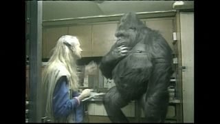 Trauer um Gorilla-Dame Koko