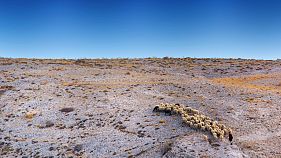 Kıbrıslı Rumları kuraklık vurdu