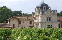 Zu viel Zucker: Weingut wegen Panscherei verurteilt