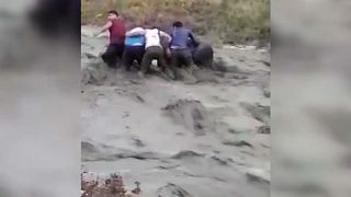 شبان ينقذون حماراً وسط شلال من الفياضات العارمة بتركيا 