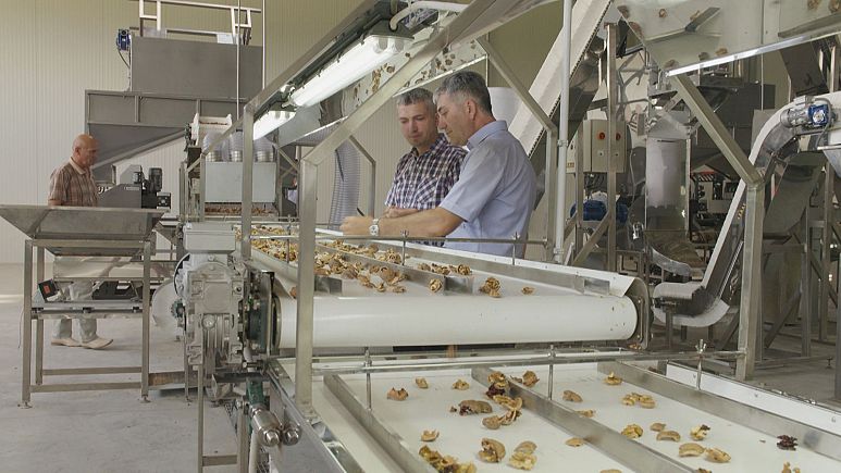Pioggia di finanziamenti europei per le aziende agricole moldave Pioggia di finanziamenti europei per le aziende agricole moldave