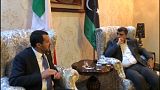 Salvini pitches migrant centres in North Africa