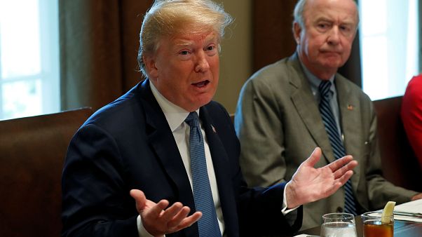 'Bizim ülkemiz bu değil' diyen 17 eyalet, Başkan Trump'a bayrak açtı 'Bizim ülkemiz bu değil' diyen 17 eyalet, Başkan Trump'a bayrak açtı