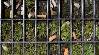 Rauchen in Parks in Straßburg kostet bald 68 €
