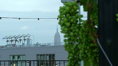 A view of the Empire State from Rooftop Reds