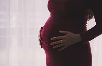 Künstlicher Eierstock soll Empfängnis nach Krebserkrankung ermöglichen