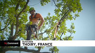 Championnat d'Europe des arboristes-grimpeurs
