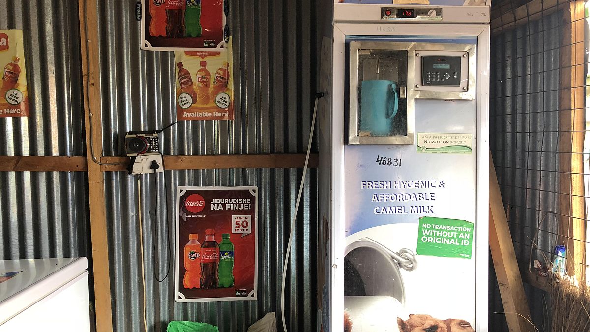 Soğutucu otomatlar geldi Kenya'da deve sütü pazarı patladı