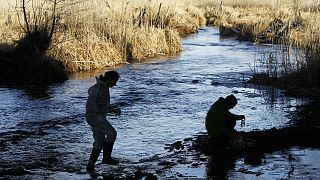 Majority of Europe’s waterways fail to meet minimum EU standards: report