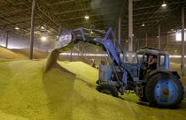 OECD-FAO: Gelecek 10 yılda tarım ürünleri fiyatları düşecek