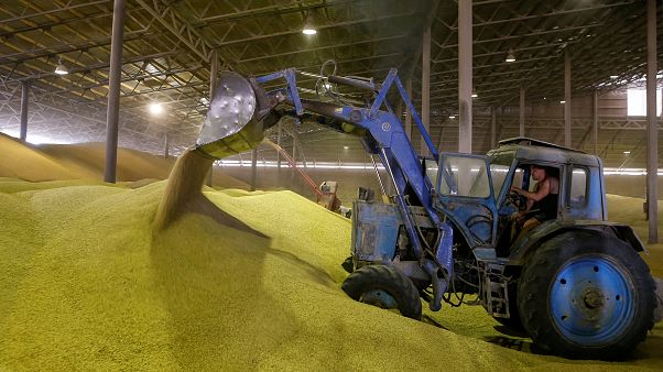 OECD-FAO: Gelecek 10 yılda tarım ürünleri fiyatları düşecek OECD-FAO: Gelecek 10 yılda tarım ürünleri fiyatları düşecek