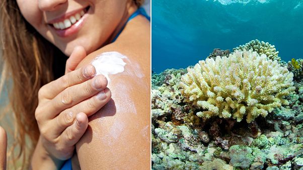 Betiltják a naptejek árusítását Hawaiin Betiltják a naptejek árusítását Hawaiin