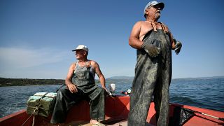 Abwrackprämie für Fischer
