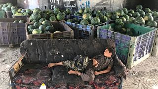 O efeito devastador do bloqueio na economia da Faixa de Gaza