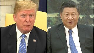 ABD-Çin ticaret savaşı: Pekin'den misilleme