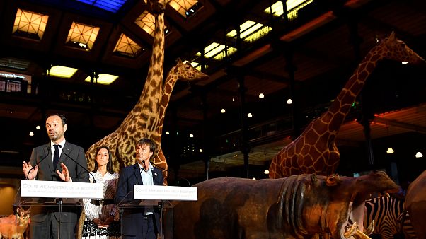 La France présente son "plan biodiversité" La France présente son "plan biodiversité"