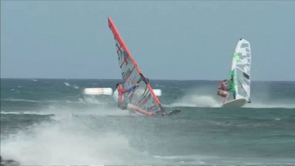 Los más rápidos del mar Los más rápidos del mar