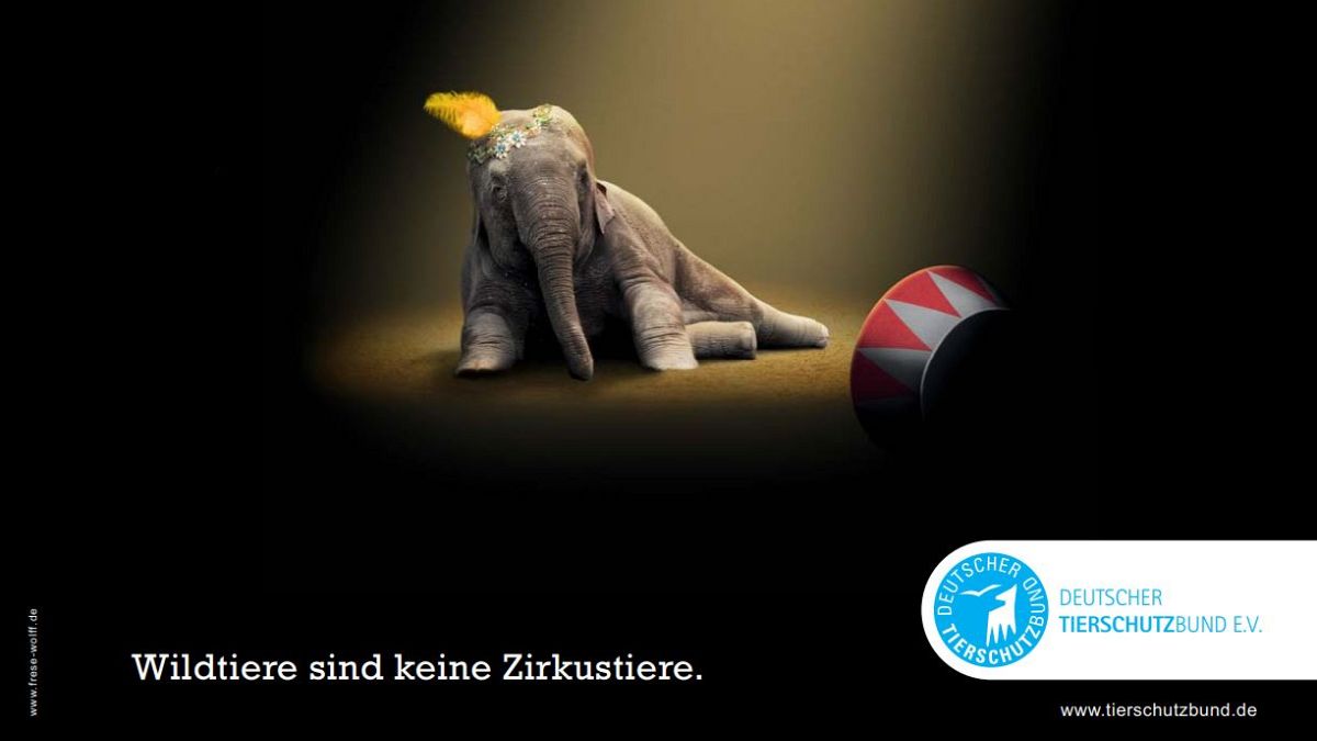 Eine Kampagne des Tierschutzbund gegen Wildtiere im Zirkus