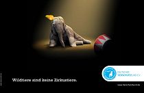 Eine Kampagne des Tierschutzbund gegen Wildtiere im Zirkus