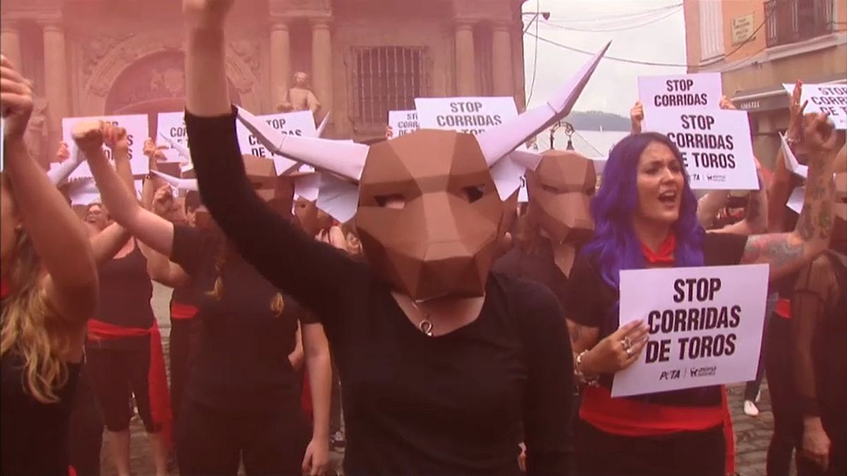 Protesters against abuse of bulls in Pamplona