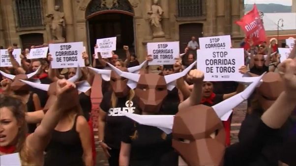 Pamplona, la protesta degli animalisti Pamplona, la protesta degli animalisti