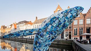 Five tonnes of plastic waste from the sea is transformed into a leaping 12 metre tall whale in Belgium's Bruges canal