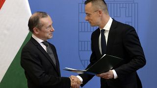 A magyar kormány kitüntette a leváltott francia nagykövetet